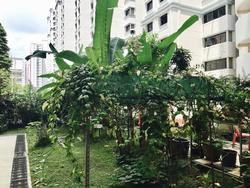 Blk 685A Choa Chu Kang Crescent (Choa Chu Kang), HDB 4 Rooms #143043392